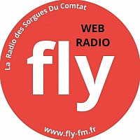Fly radio
